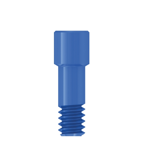 Connect abutment angled screw channel prosthetic screw
