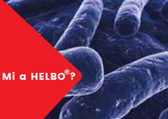 Mi a Helbo?