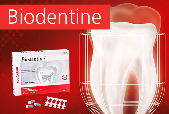 Biodentine: A világ első biológiai tömőanyaga