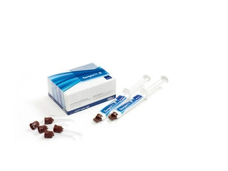 TempoSil 2 intro kit Dentin 2x5ml