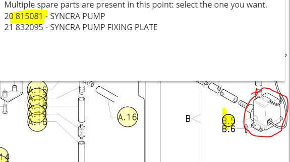 Pumpa (syncra)