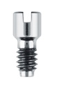 XiVe TG abutment screw