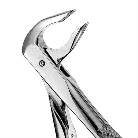 Zahnzange Apical glanz 74N UK anterior