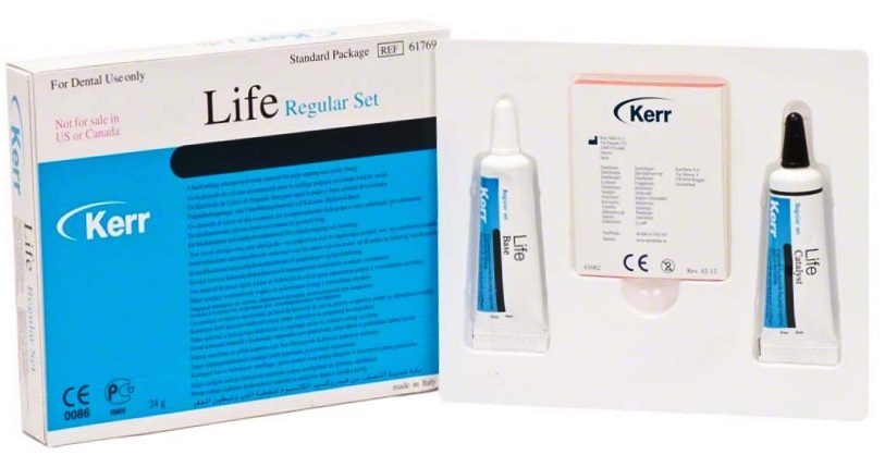 Life Std Regular