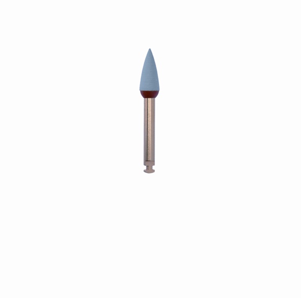 POLISHERS-CERAMICS 9780204040