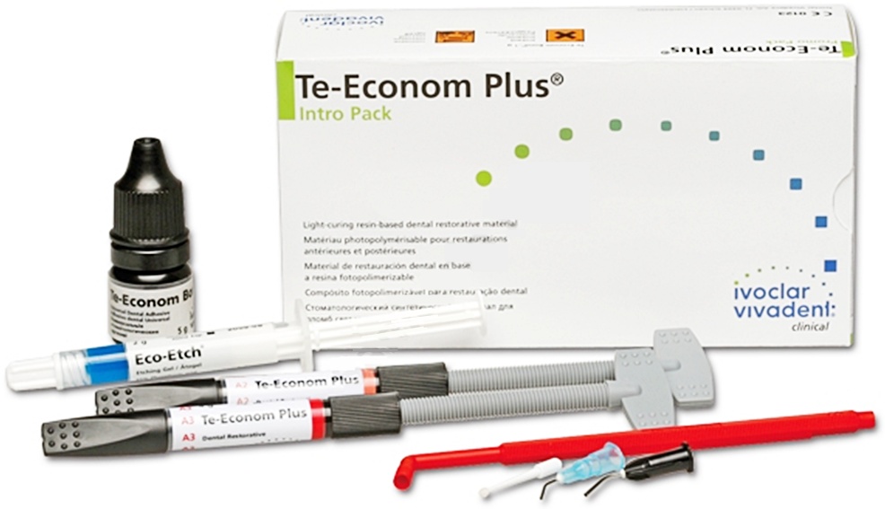 Te-Econom Plus Intro Pack 4x4g /A1