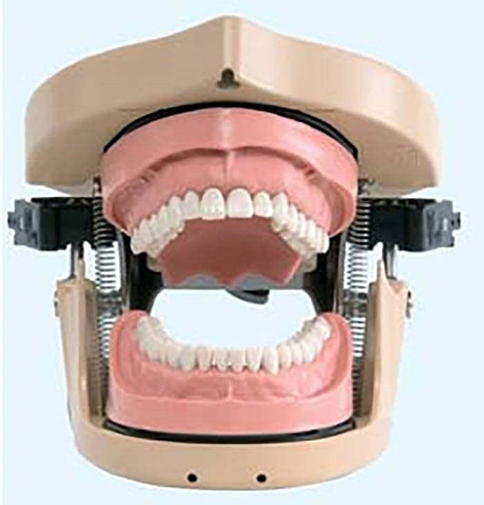KaVo Patient Simulator Basic G20
