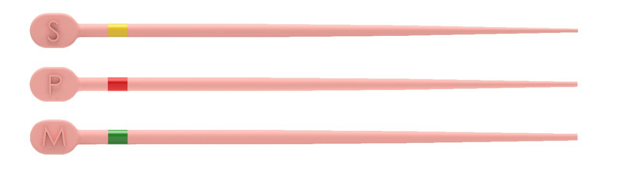 TRUNATOMY CONFORM FIT GUTTA PERCHA ASSORTMENT