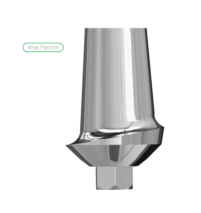 Wide esthetic abutment internal hex. 1mm