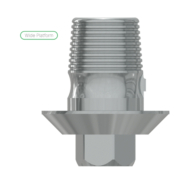 Ti Base h. 4mm with hex., int. hex., WP