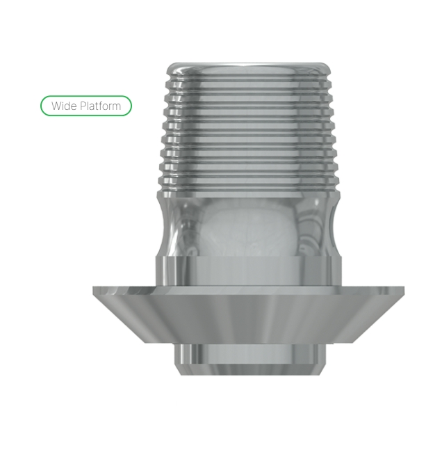 Ti Base h. 4mm without hex., int. hex., WP