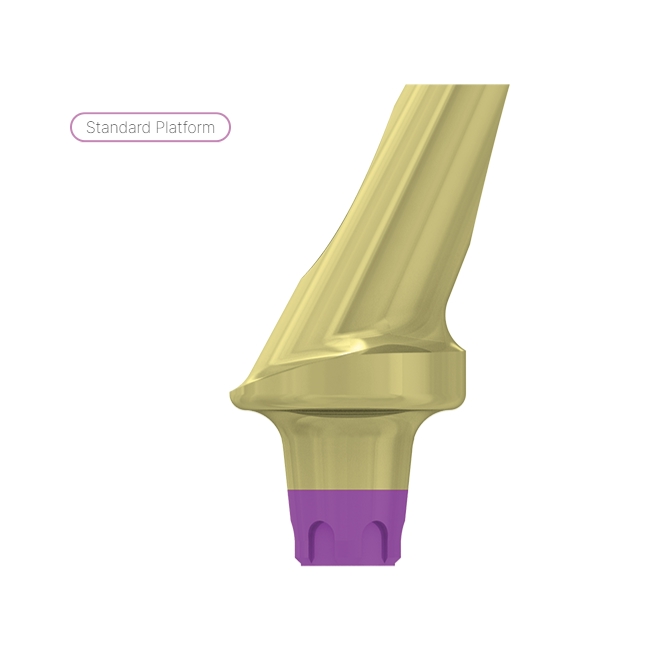 Coni. con. esthetic 25 angulated abutment 1 mm, SP