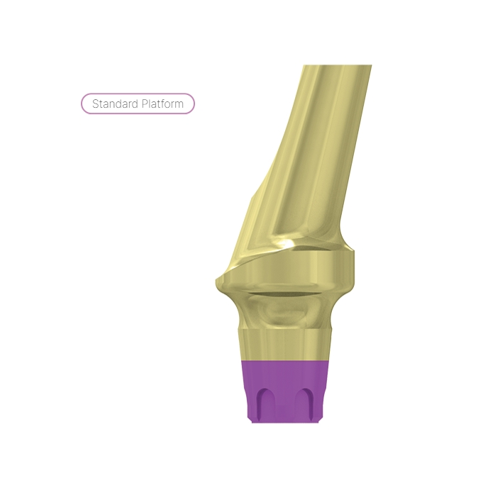 15° angulated abutment, gingiva h.2 4.8mm, coni. con., SP