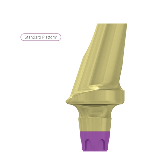 15° angulated abutment, gingiva h.2 5.8mm, coni. con., SP