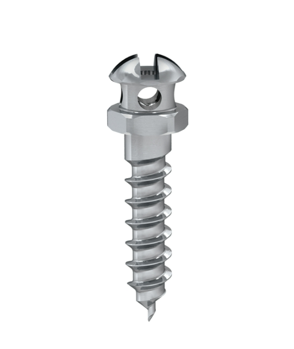 Ortho anchor screw dia. 1.60 L 6mm