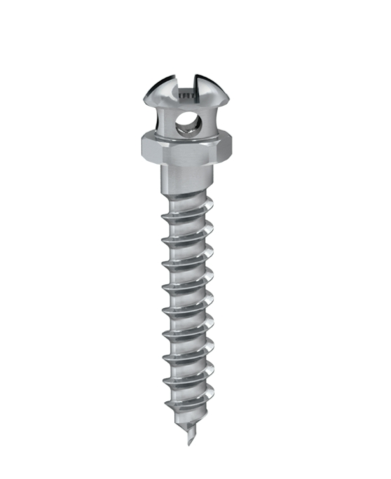 Ortho anchor screw dia. 1.60 L 8mm