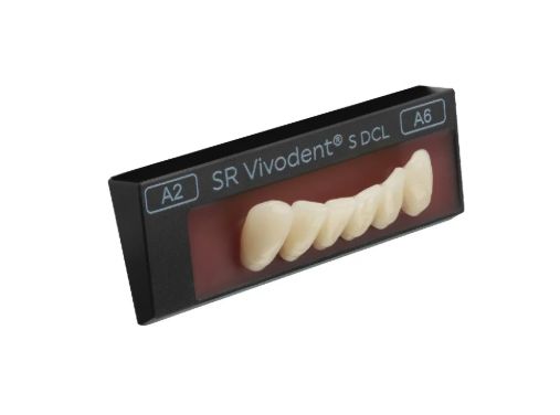 SR Vivodent S DCL set of 6
